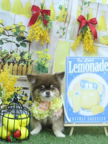 20240418エリザベスちゃん